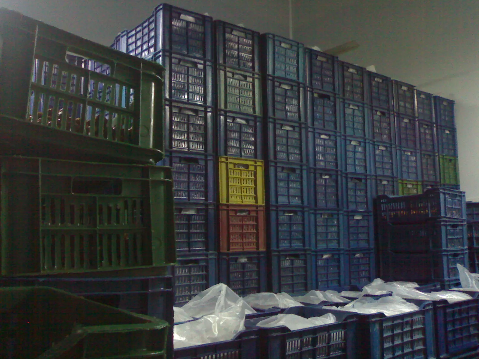 100% скрапчивые свежие даты-низкая цена