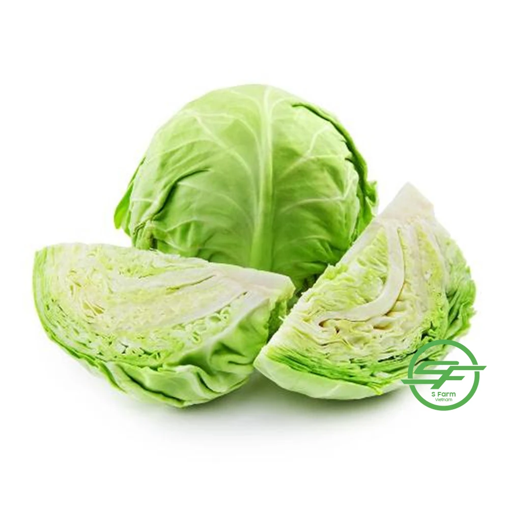 Оптовая продажа свежей капусты хорошие цены