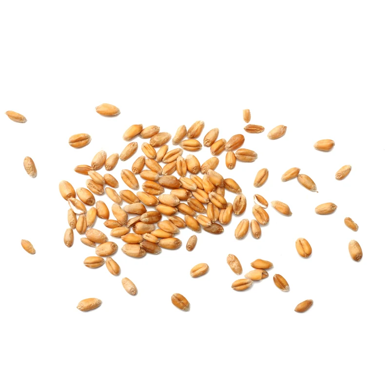 
Wheat, wholesale price 5000kg 