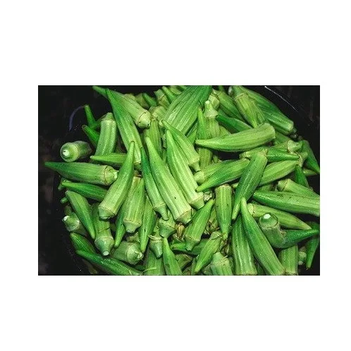 Best Seller Of Fresh Vegetables Okra At Low Prices