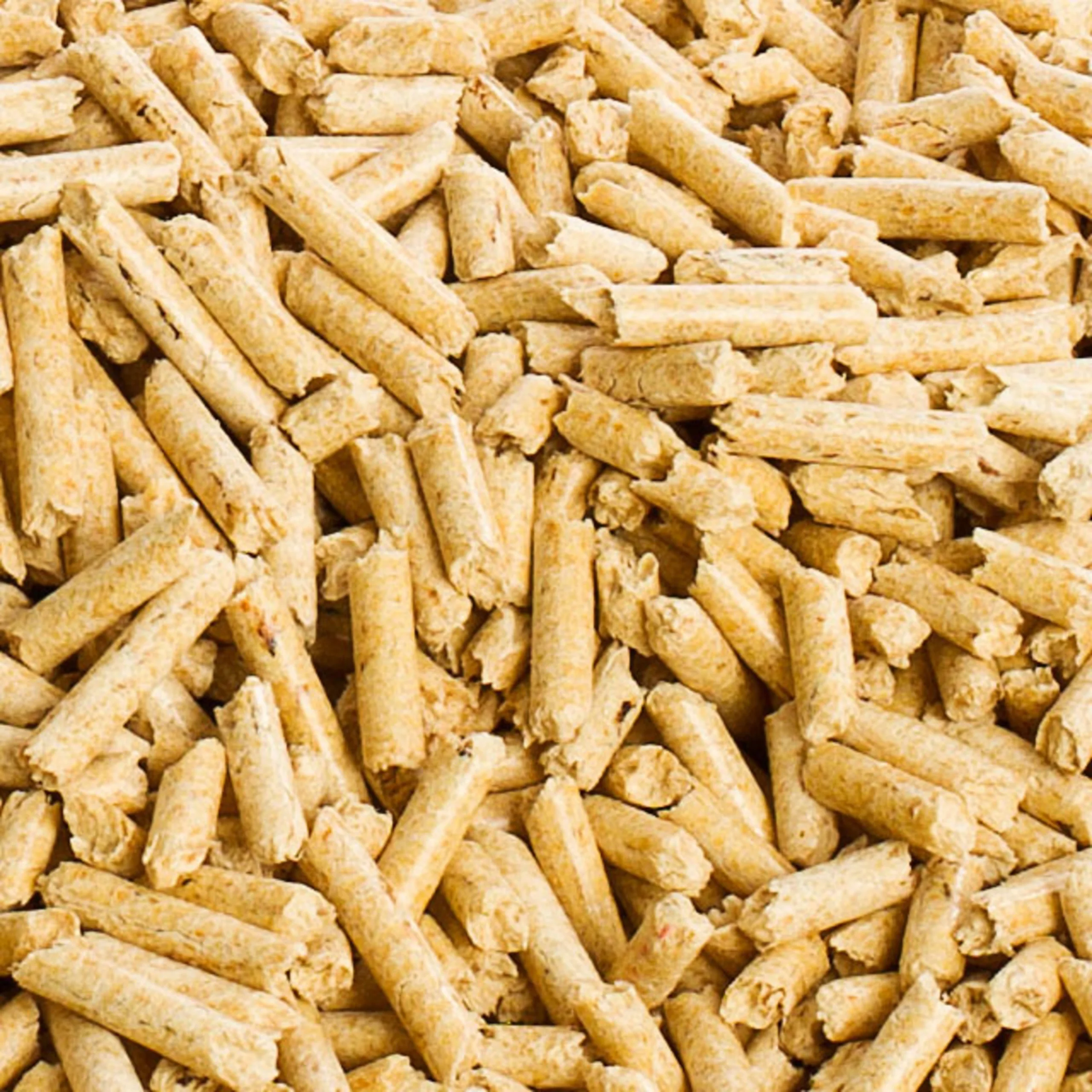 Beech Wood Pellet Available 6mm and 8mm