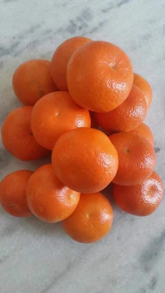 
Mandarin ORANGES 