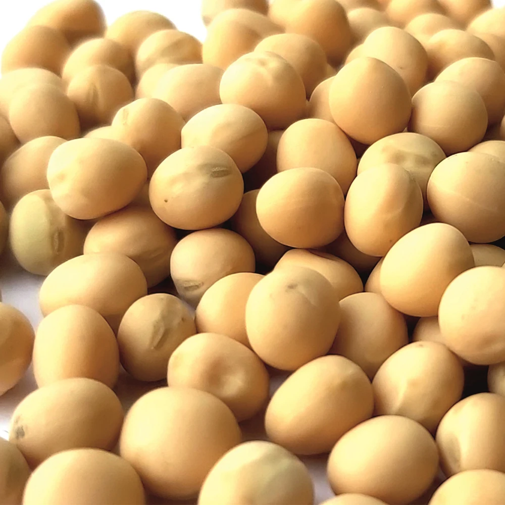 Premium quality yellow peas  15/25/50 kg bags or in bulk, from manufacturer