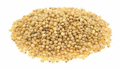 sorghum flour for sale red sorghum white sorghum kernel flour for sale