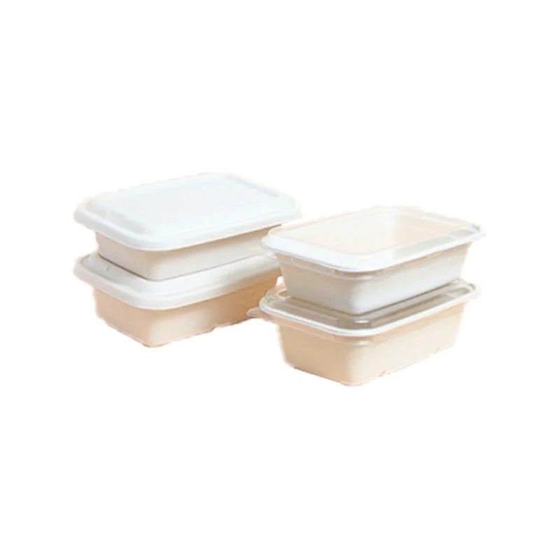 750ML Eco-friendly Biodegradable Disposable Bagasse Bento Lunch Box To Go Food Container for Meal