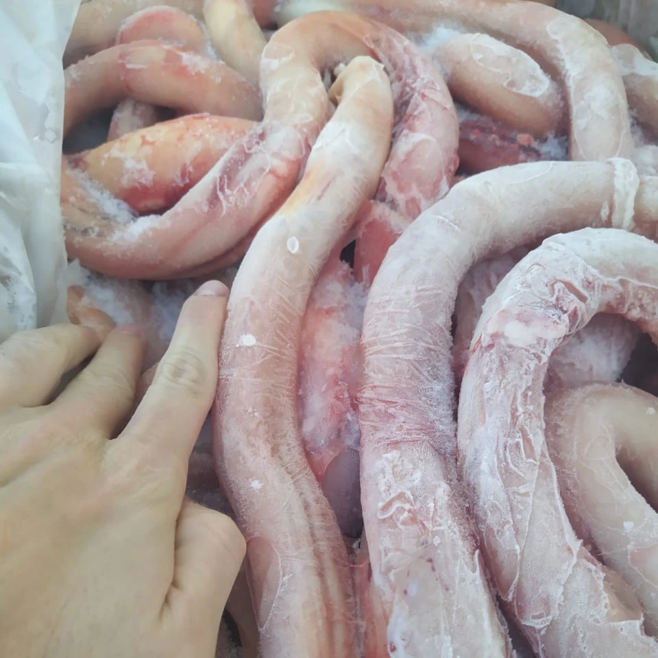ORGANIC FRESH PROCESSING FROZEN BEEF PIZZLE (PENIS) HIGH QUALITY ORIGIN MONTENEGRO