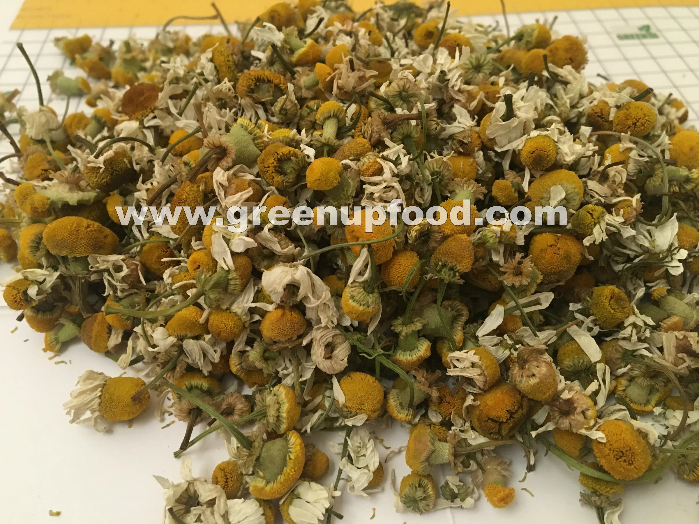 Ромашка, Цельные цветы, высокое качество, без стебля, без порошка, подходит для чая, и мы контролируем размер цветка, свежий урожай manzanilla