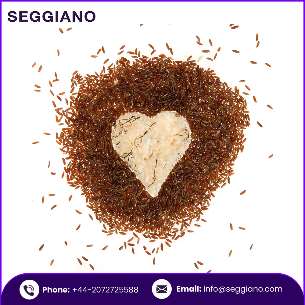 2021 Hot Selling Best Price Seggiano Organic Carnaroli Risotto Rice 500g