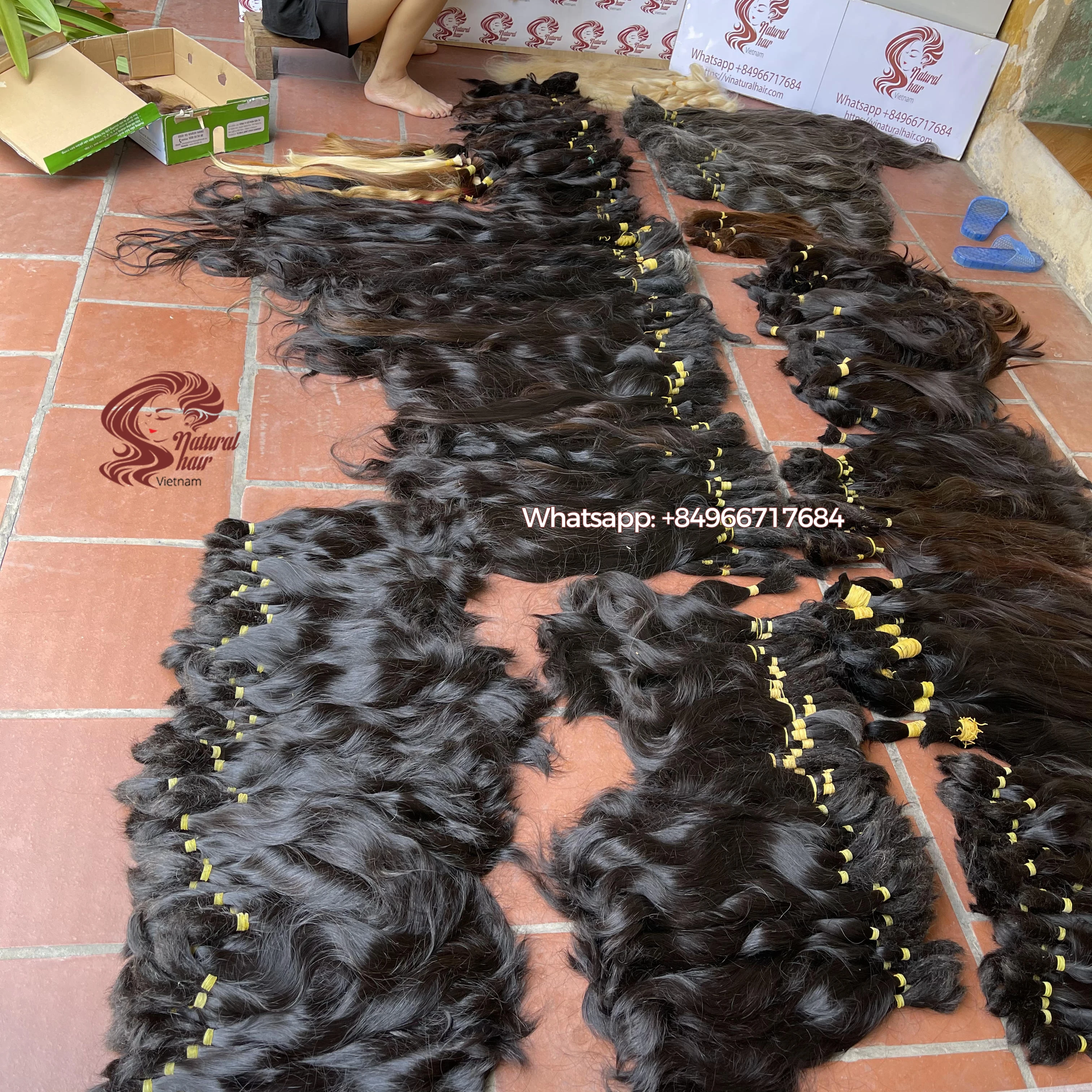 Лучшее качество волосы одного донора навалочные вьетнамские волосы/наращивание человеческих волос/выровненные с кутикулой