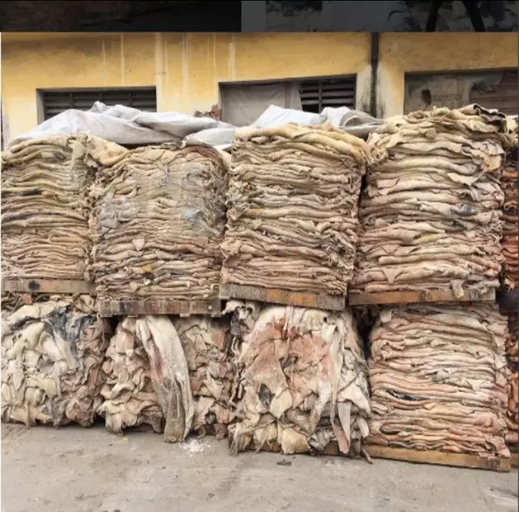 Сыпучие соленые и Сухие шкуры осла коровья шкуры/шкуры крупного рогатого скота/лыжи животных // козы/лошади