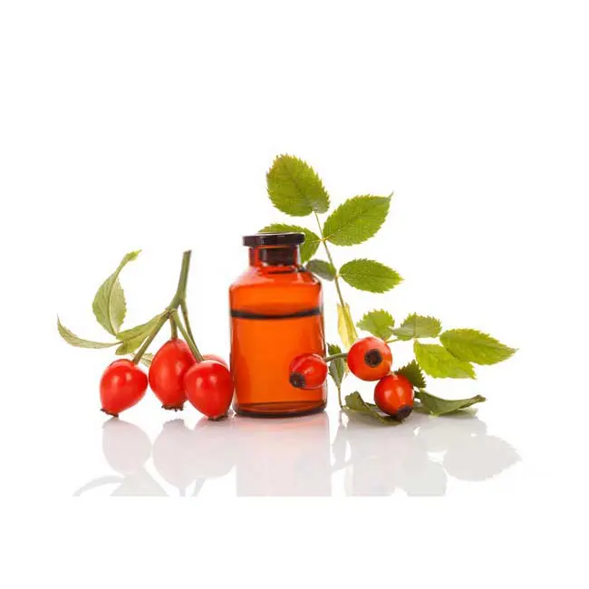 Rose hip seed oil / Pure and Natural Cold Pressed rosehip seed currier oil bulk supply / Skin Care Currier Oils