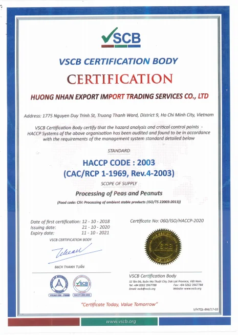 Made in Viet Nam Best Selling Salted peanuts Coated Fried Peanut Snacks Flour Coat Typical of Roasted peanuts kernels