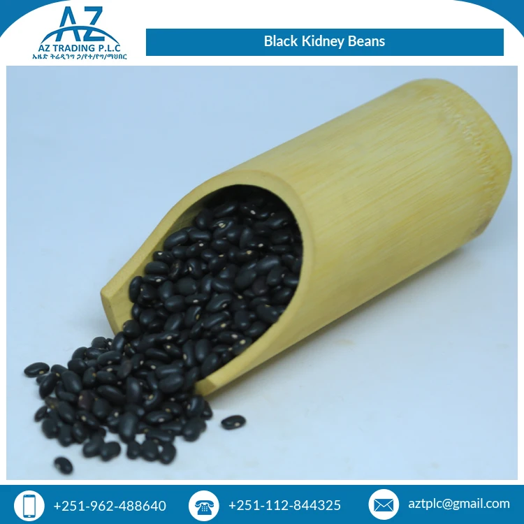 Hot Selling Good Quality 0.5% Spilt Bulk Supply Ethiopian Black Kidney Beans