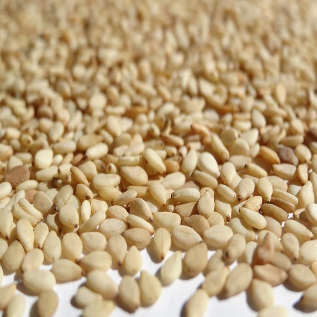 
Sesame seeds 