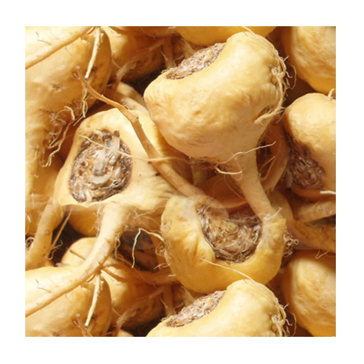 Malaysia Organic Maca Root (Lepidium Meyenii) Herbal Extract Powder to Boost Energy Reduce Blood Pressure 3 Years Shelf Life