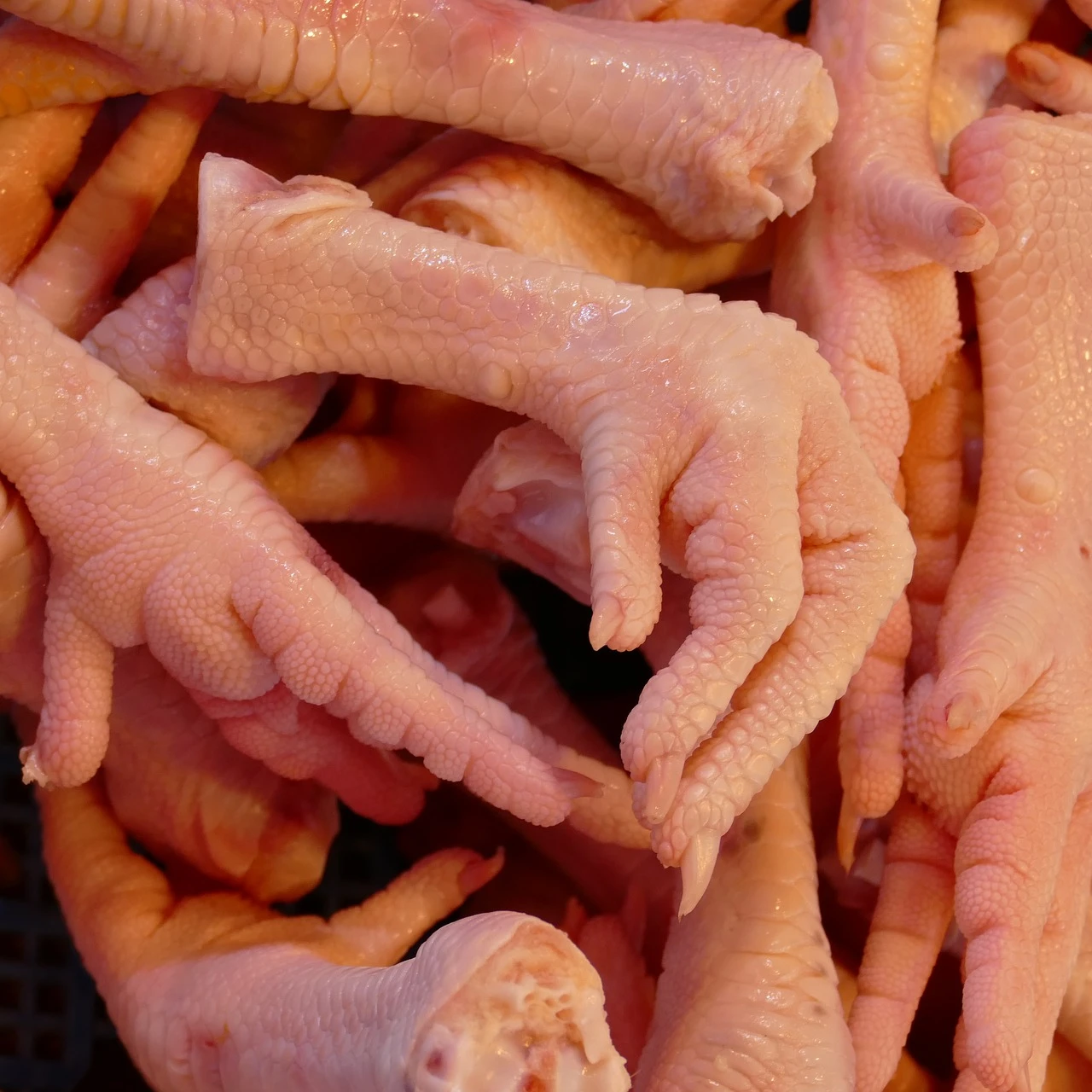 
Buy frozen Chicken Feet And Paws From Brazil SIF Plant - A Grade 