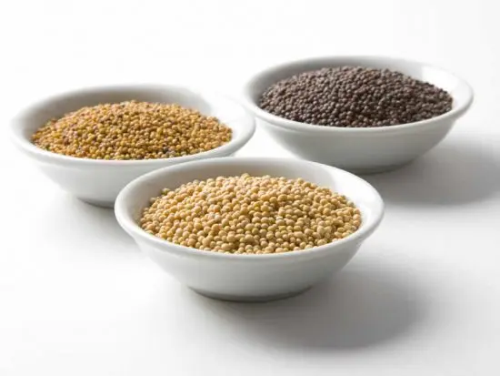 Best Quality Single Spices Yellow mustard seeds From India