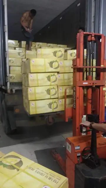  Замороженное дурианское мясо высокого качества/Премиум Замороженные дуриан монтонги