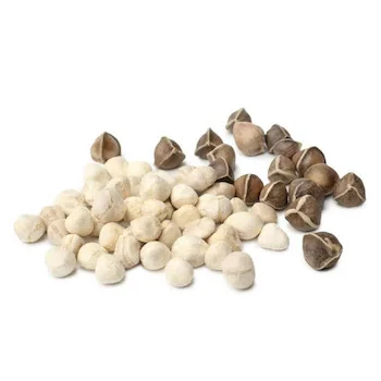 High Quality Organic Moringa Seeds for Sale