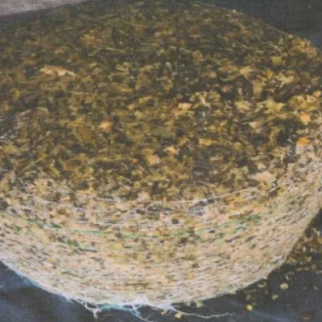 
 Сигаж кукурузы  