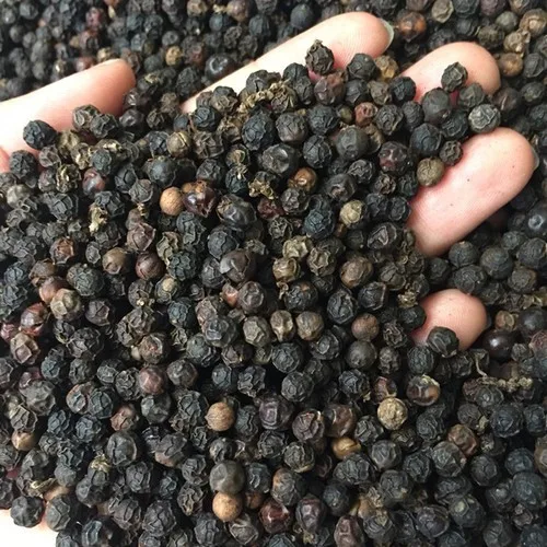 OrSaFarm Pepper Spice Top Grade Black Pepper made in Vietnam Black Pepper High Quality and Cheap Price 5kg/pack