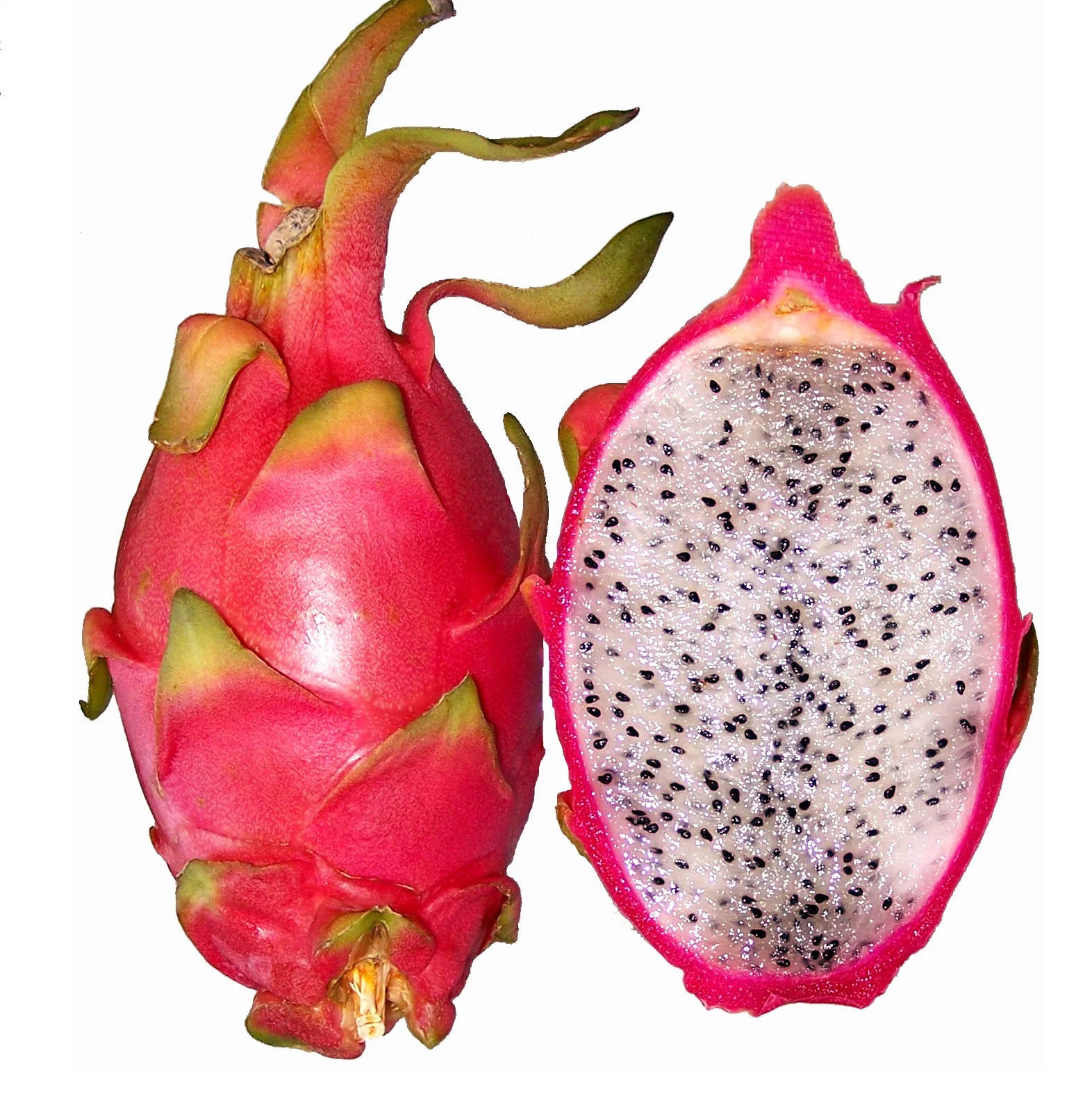 VIETNAM DRAGON FRUIT GREAT QUALITY FOR BUYERS WHATSAPP WECHAT VIBER 0084326572671