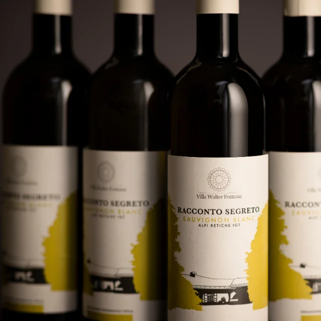  Чисто секретное белое вино Sauvignon blanc с сухим вкусом свежим и сложным итальянское качество