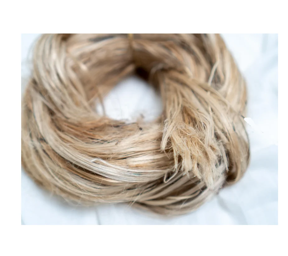 Best Quality & Low Price 100% Natural Raw Jute Top Selling Exportable Sustainable Moisture from Bangladesh