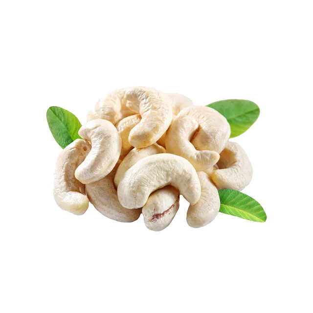 14 (1).png