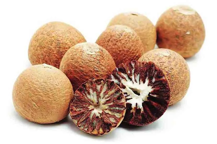 VIETNAM DRIED BETEL/ ARECA NUT HIGH QUALITY