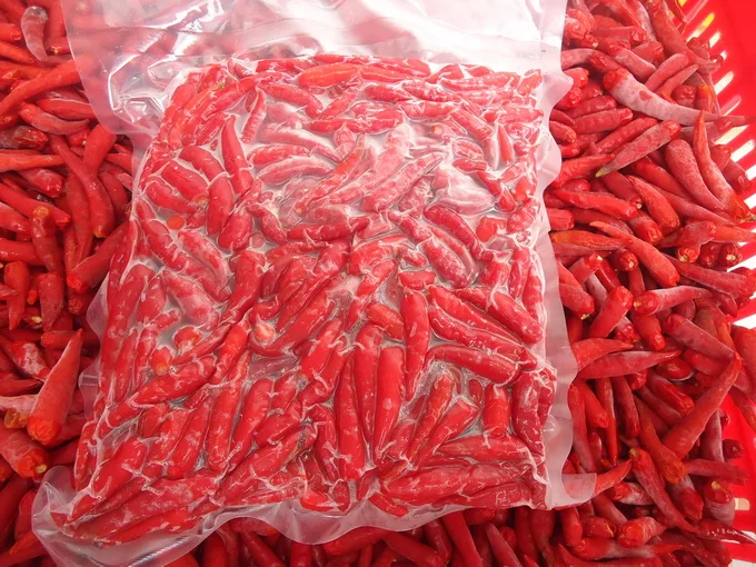 FROZEN FRESH CHILI - FROZEN CHILLI
