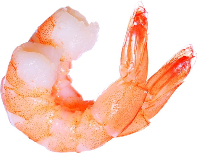 Дешевая готовая белая креветка очищенная экспортного качества