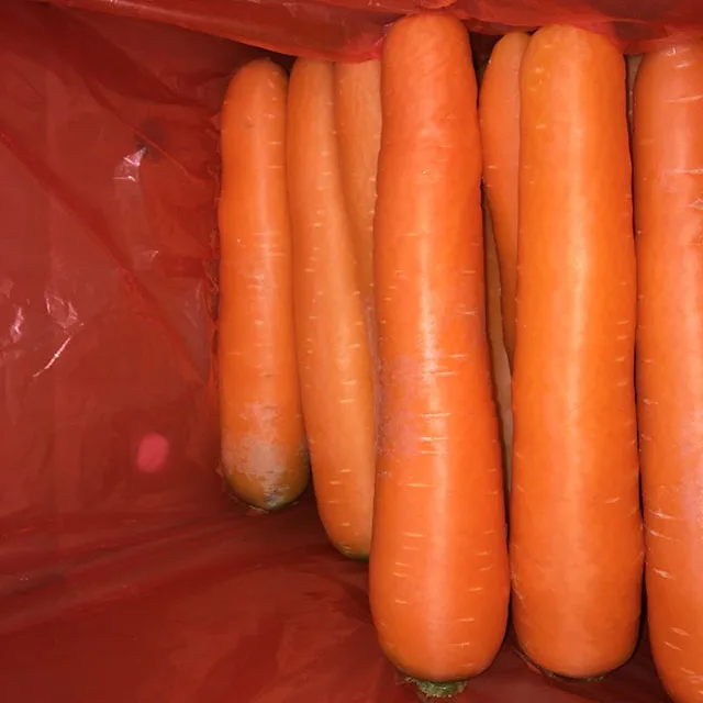 2021 High Quality Fresh Vegetable Fresh Carrot