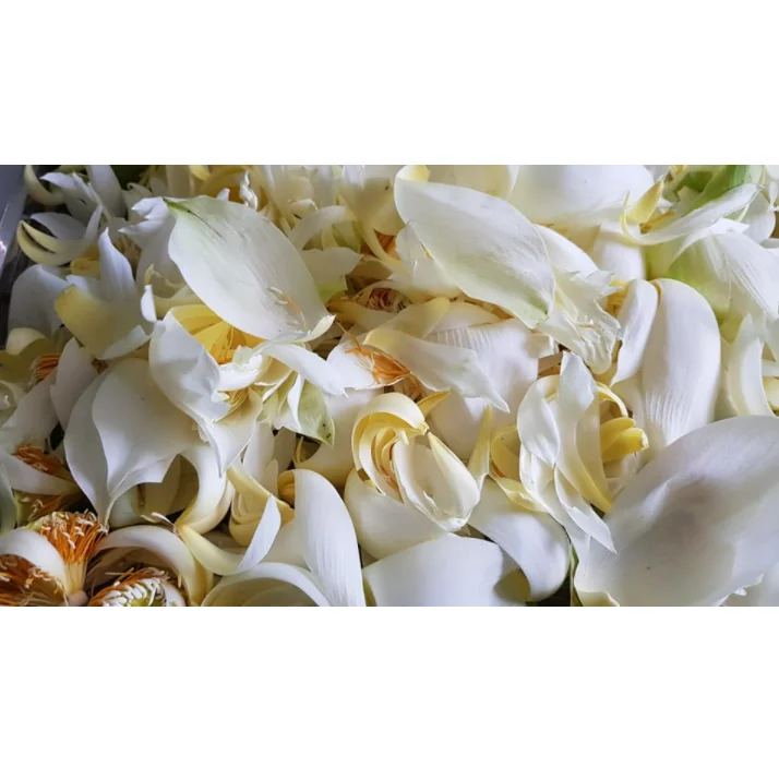 Natural Sweet Taste Mild Scent Pickled White Wine Snow Lotus Wine Good For Health With Glass Bottle Exported From Vietnam