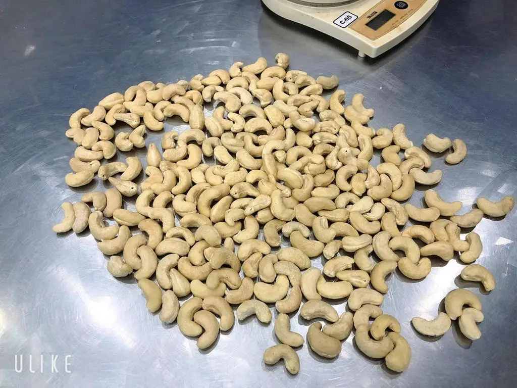 100% VIETNAM CASHEW NUTS KERNEL WW180/ WW240/ WW320/ WW450-Cashew Nuts LP/ SP-Good Quality Wholesale Price Kaju