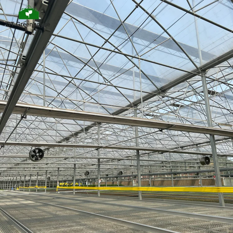 Low Cost Passive Solar Light Deprivation Cooling System Multi-span Tomato Greenhouses