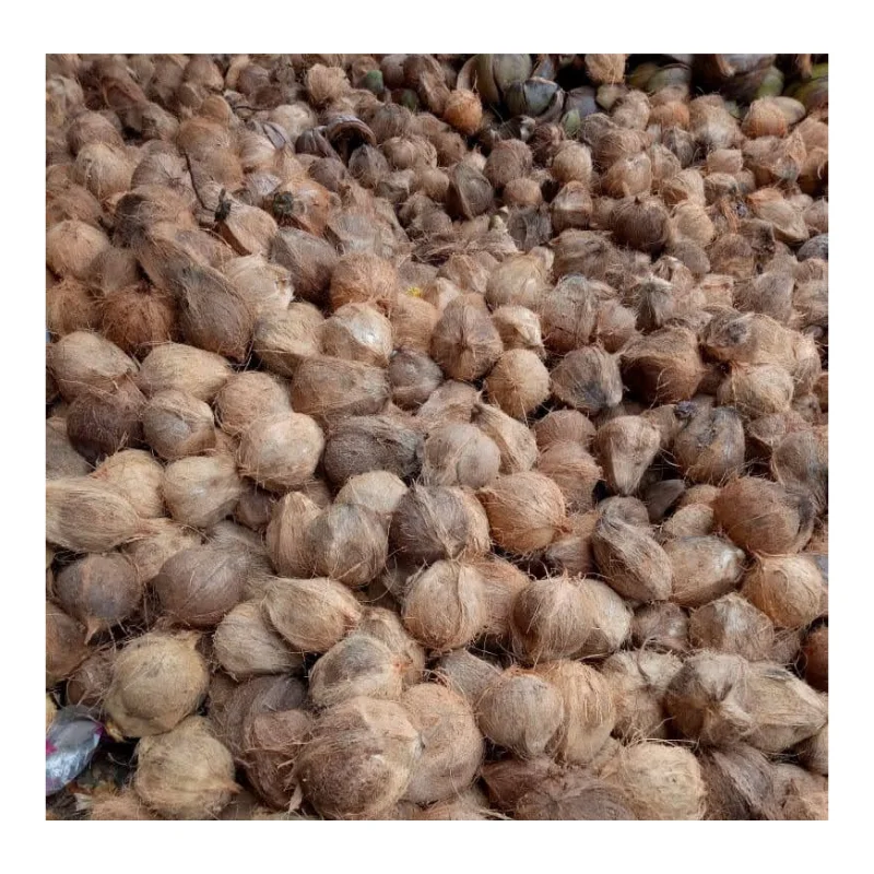 Горячая Распродажа зрелый кокос/полуочищенный кокос из Вьетнама