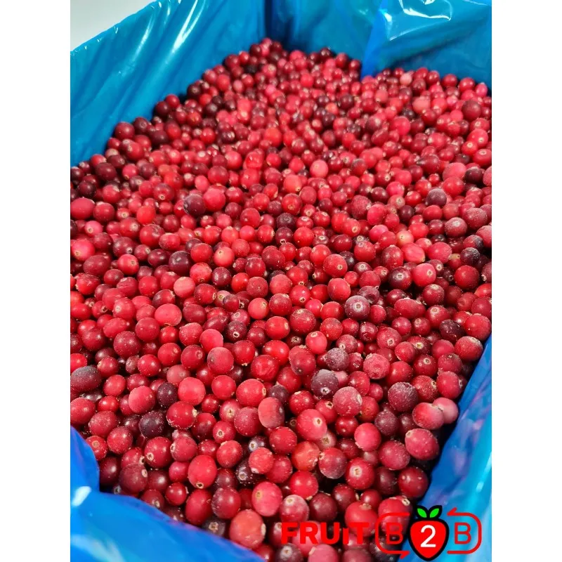 Замороженный фрукт клюквы-IQF