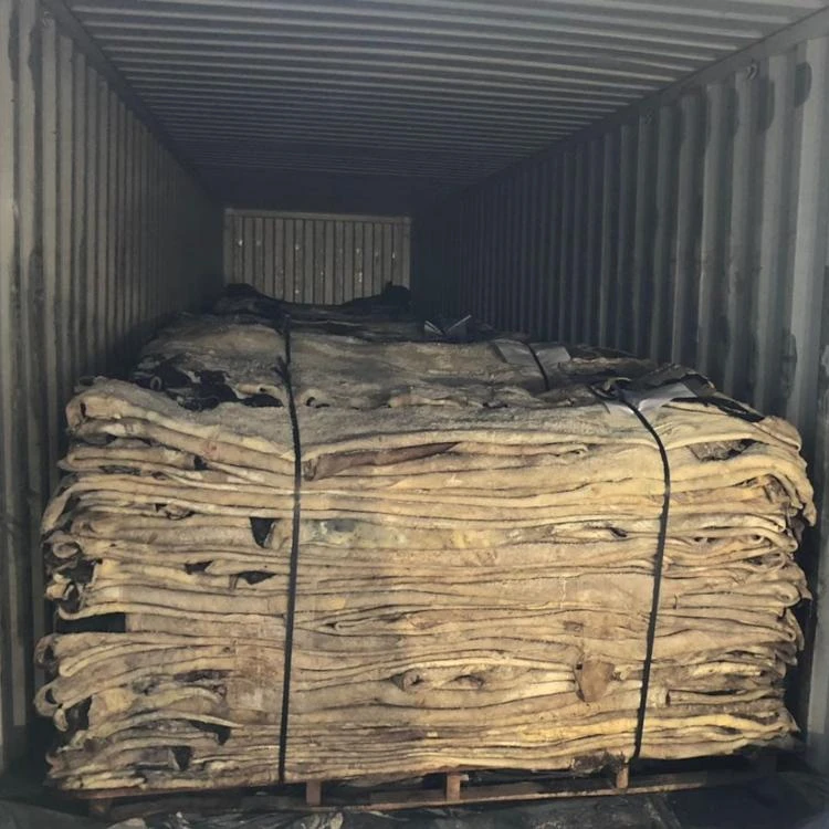 Top Quality Wet Salted & Dry salted Donkey Hides & Cow Hides/Cattle Hides