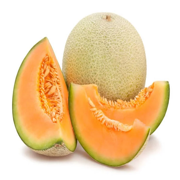 Fresh Melons For Sale / Hybrid F1 Musk Melon Seed / FRESH ROCK MELON WITH GOOD PRICE