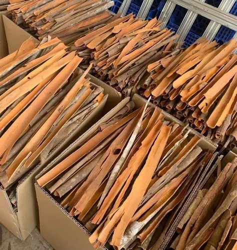 
New natural crop qualified Cinnamon cassia split 