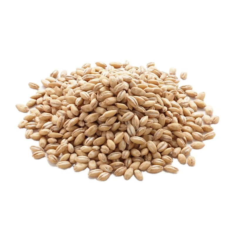 Barley Max Yellow White Animals Customized Crop Style Packaging Color Brown Origin Type Year Dried PROTEIN Supply Min Broken