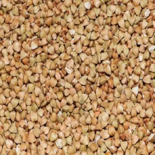 
Brown/ Green Buckwheat Hulls in Sale for Food 