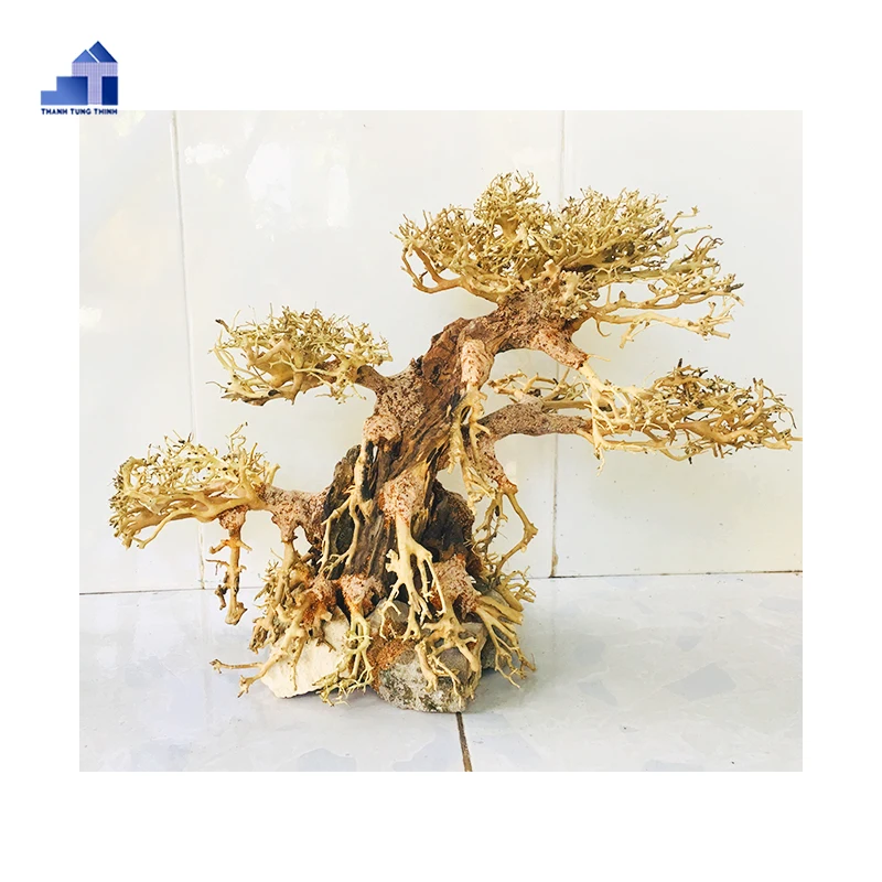 2024 Новинка высококачественные коряги бонсай для аквариума оптом WhatsApp + 84 961005832