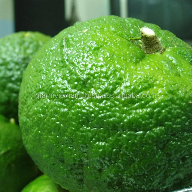 
Fresh orange with high quality and taste sweet, succulent 