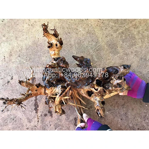Hot arrival  Natural driftwood for aquarium ornament Whatsapp +84 963949178