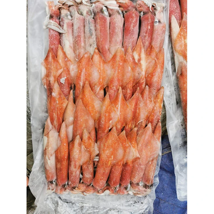 
Best Quality Sea Frozen Seafood Big Size Squid 
