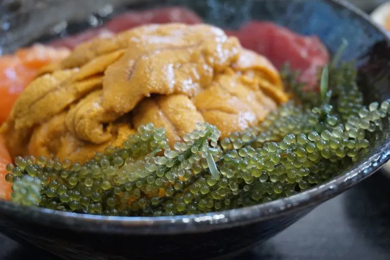  Оптовая продажа высококачественный свежий морской виноград/зеленый виноград/вьетнамский сухой виноград (Ms Деми + 84 961733400)