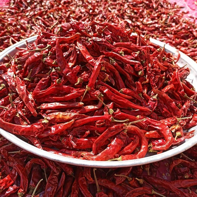 100% органический сухой перец чили из Вьетнама сельскохозяйственный сушеный красный лучшее качество и цена