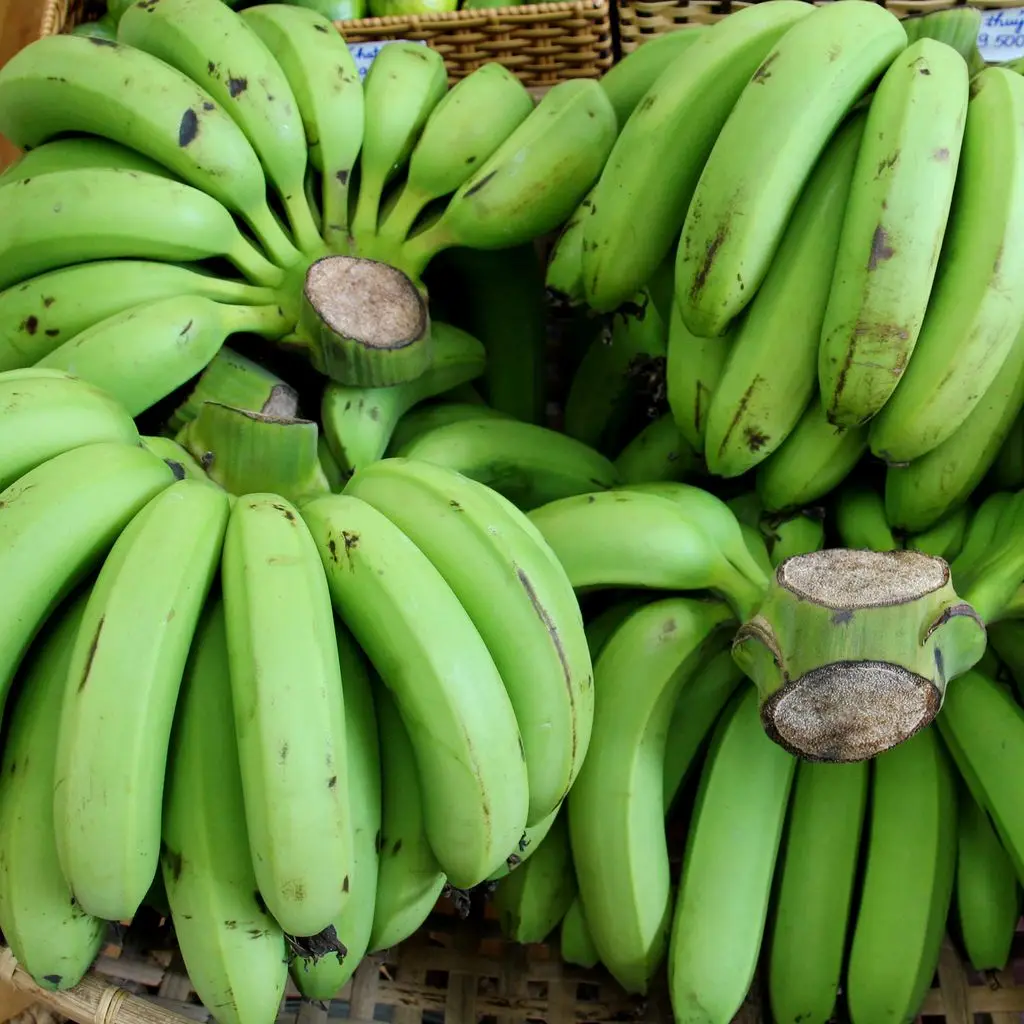 Вьетнамский зеленый банан Cavendish оптом- (Ms) KIO HUYNH + 84 34 375 8904